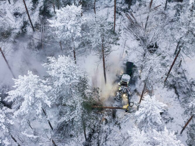 Harvennushakkuu talvella metsässä