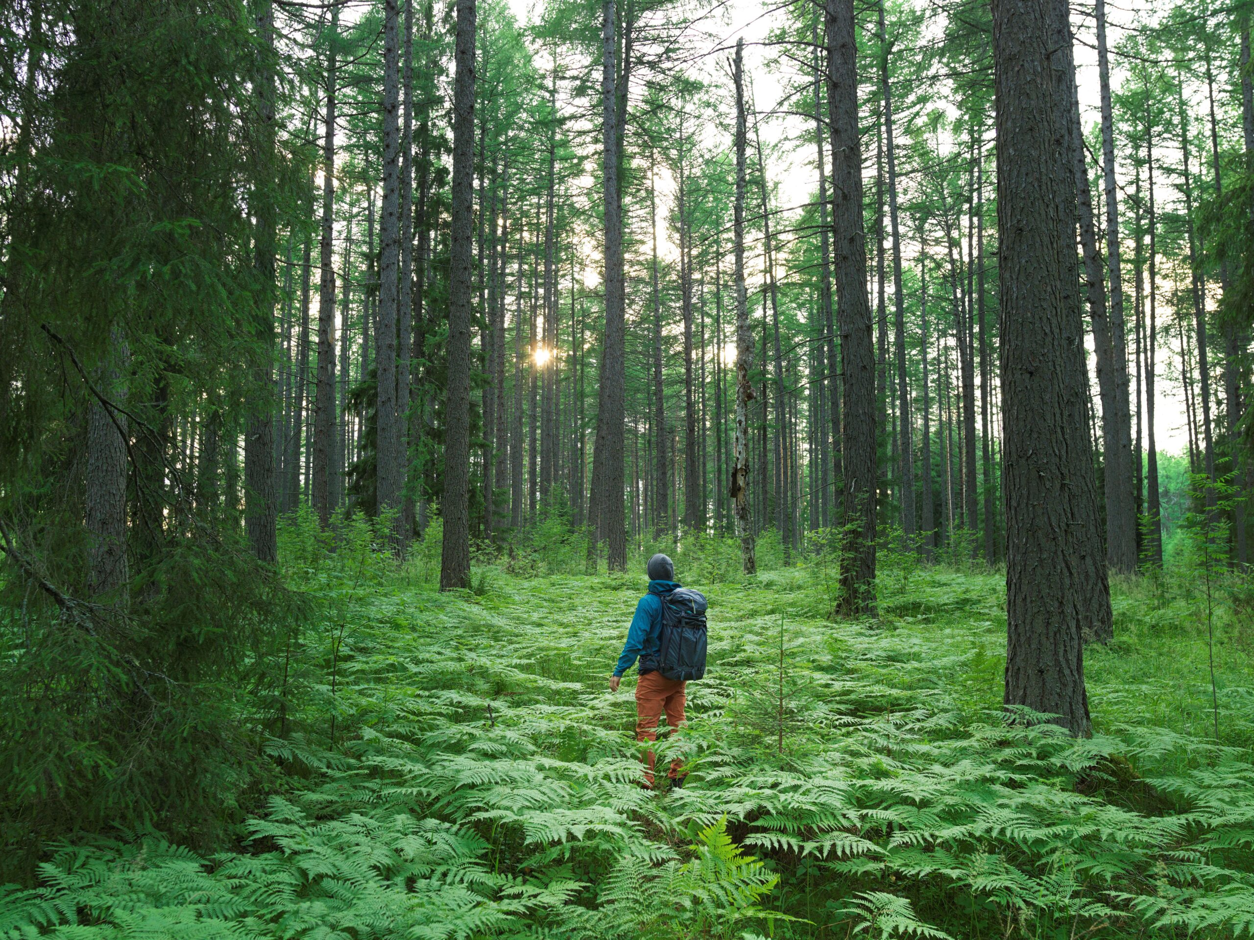 Mies seisoo metsässä