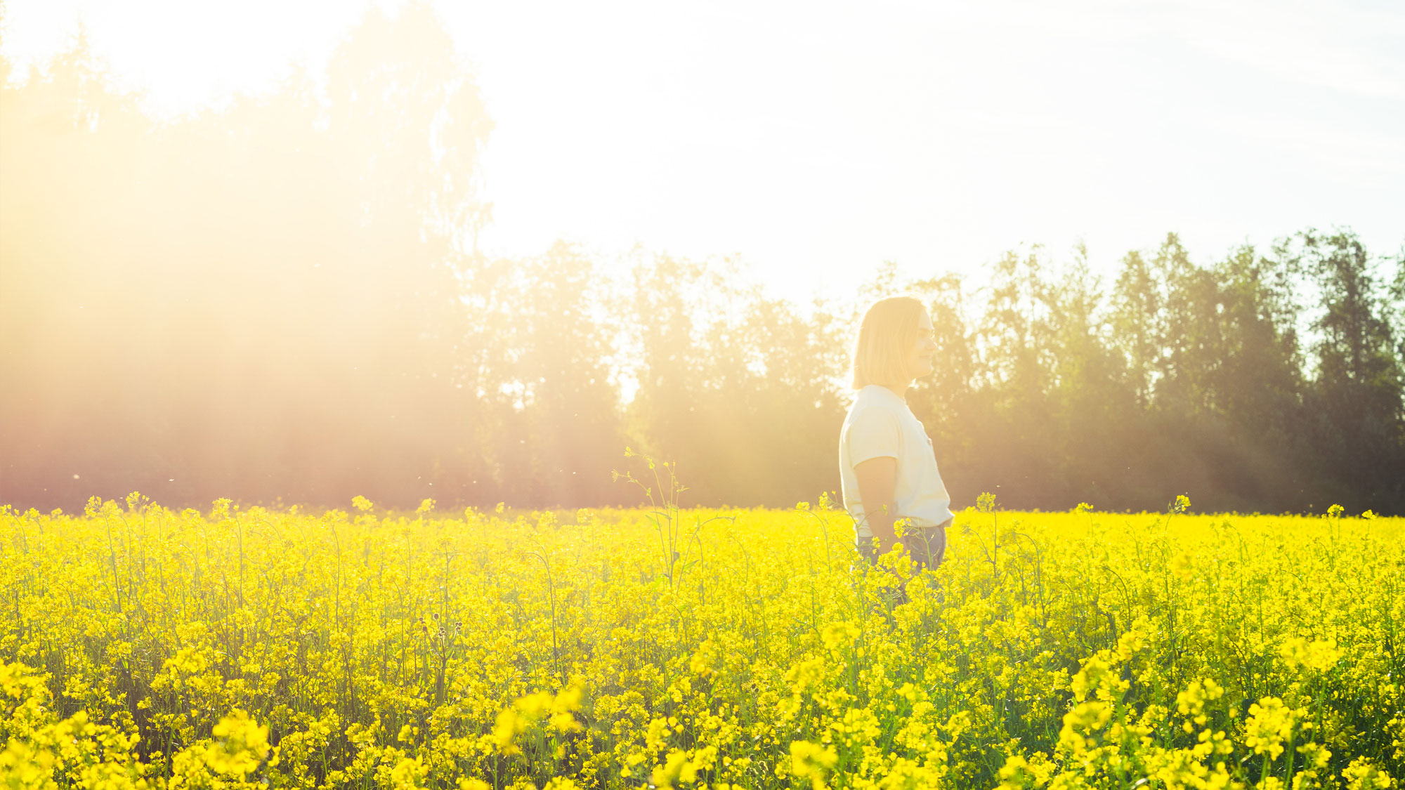 Aika hakea maa­seu­dun kehit­tä­mi­sa­vus­tus­ta