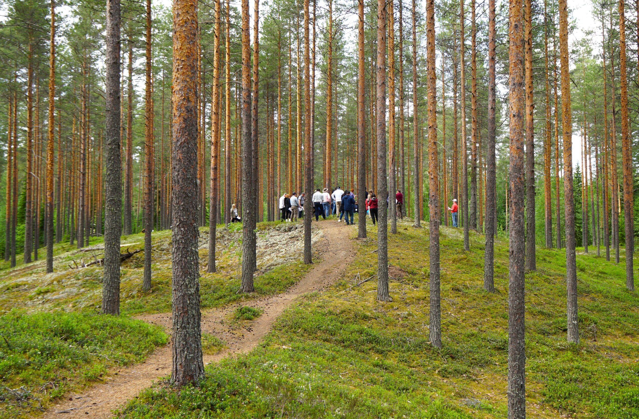 The Forest Joen­suu network con­vinced the guests from USA and Cana­da
